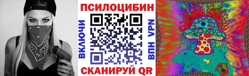 Псилоцибиновые грибы ЛСД  наркошоп  Починок 