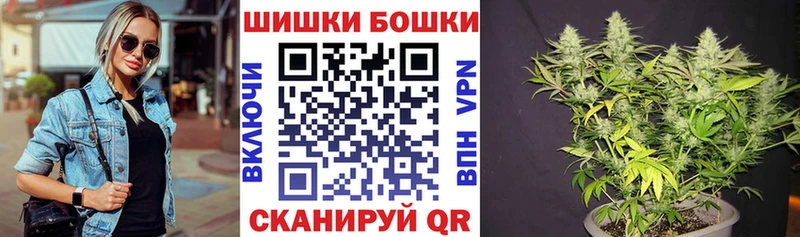 kraken как войти  где найти   Починок  Бошки Шишки Amnesia 